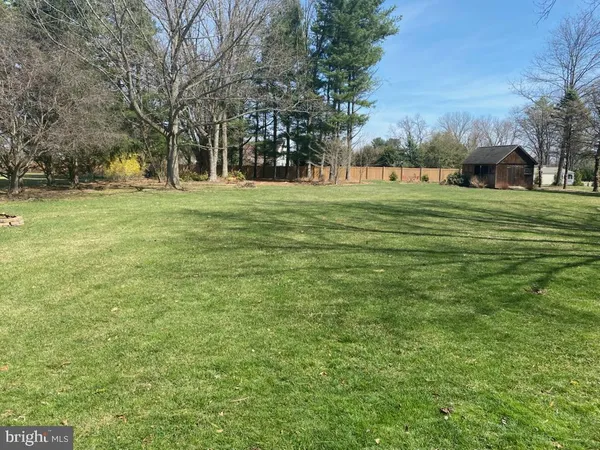 a garden view with trees