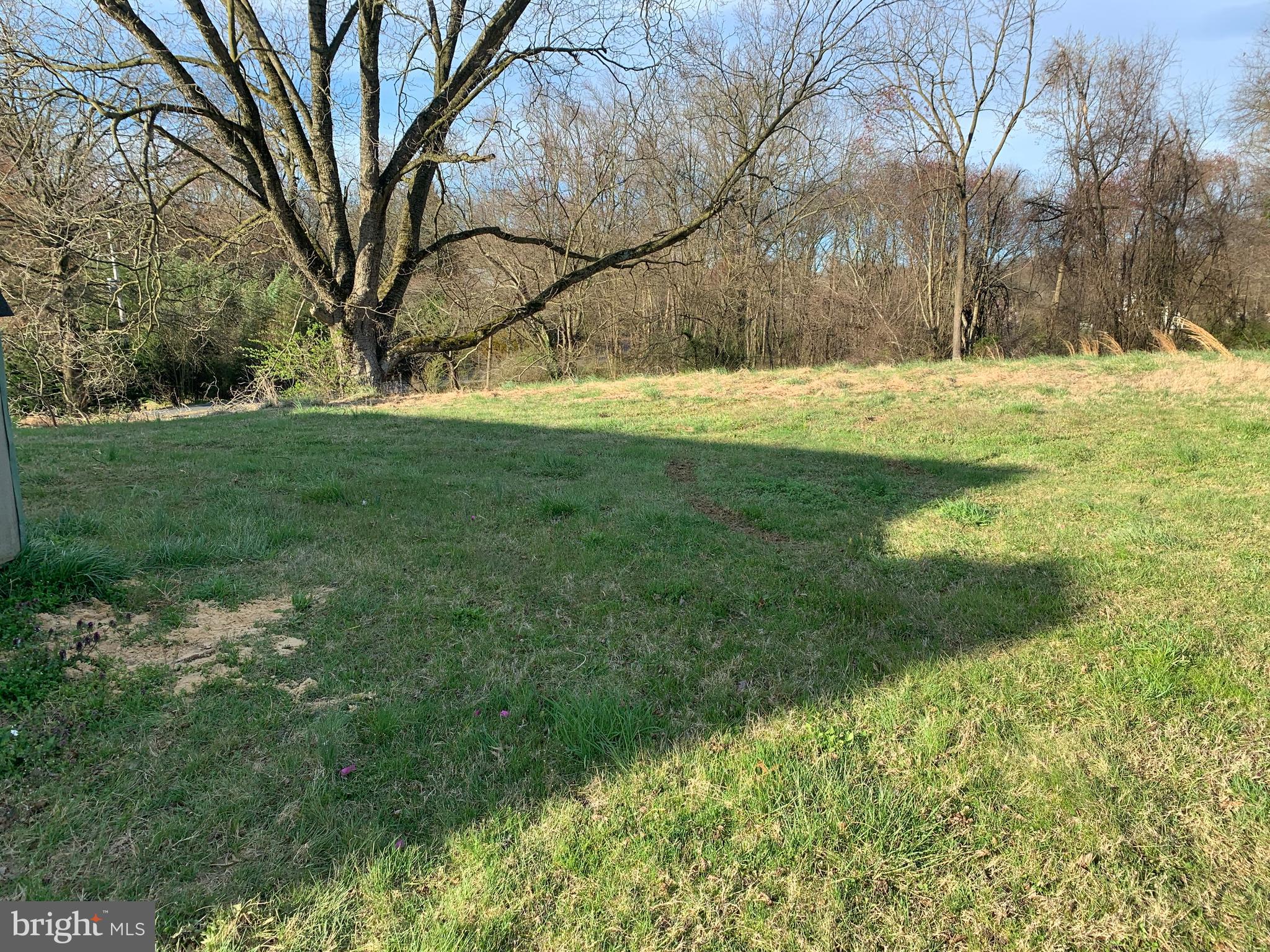 215 Jackson Hall School Road Elkton, MD 21921 - Photo 6 of 31 Rear Yard