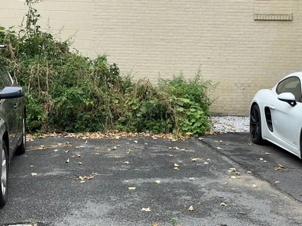a backyard of a house with lots of green space