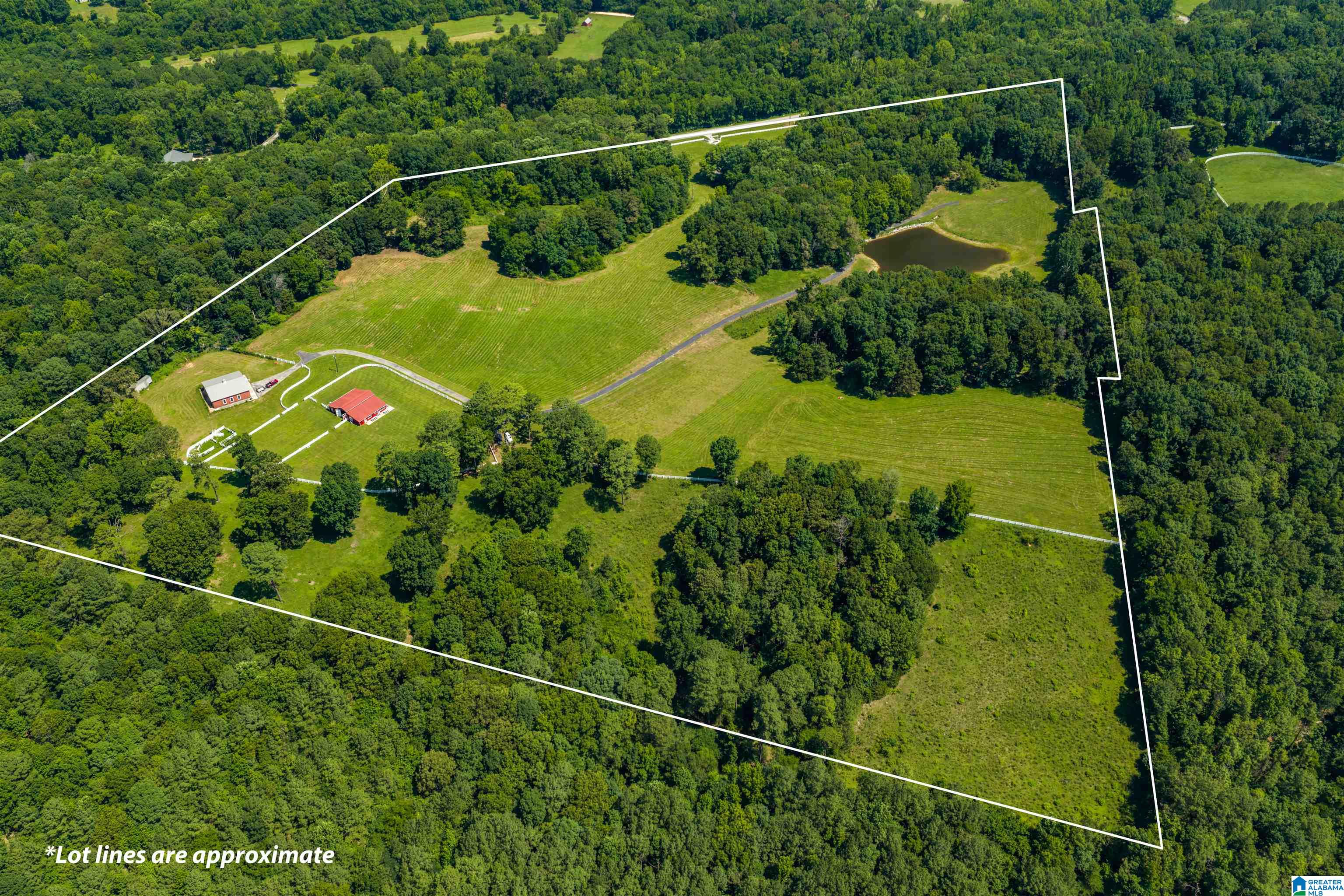3640 Spring Creek Road Calera, AL 35040 - Photo 8 of 83