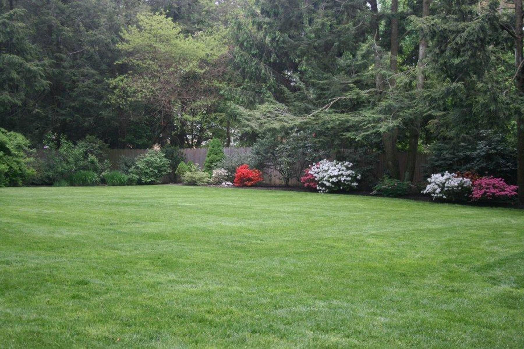 142 Brookside Road Darien, CT 06820 - Photo 23 of 25 a view of a garden with flowers and trees