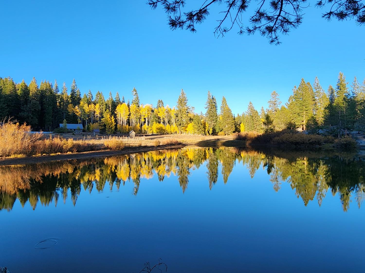 1283 Mountain View Road Arnold, CA 95223 - Photo 18 of 18