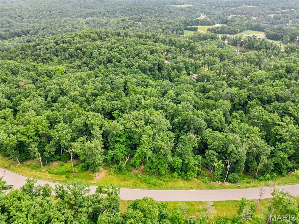 2835 Tyrolean Way Drive Innsbrook, MO 63390 - Photo 8 of 9