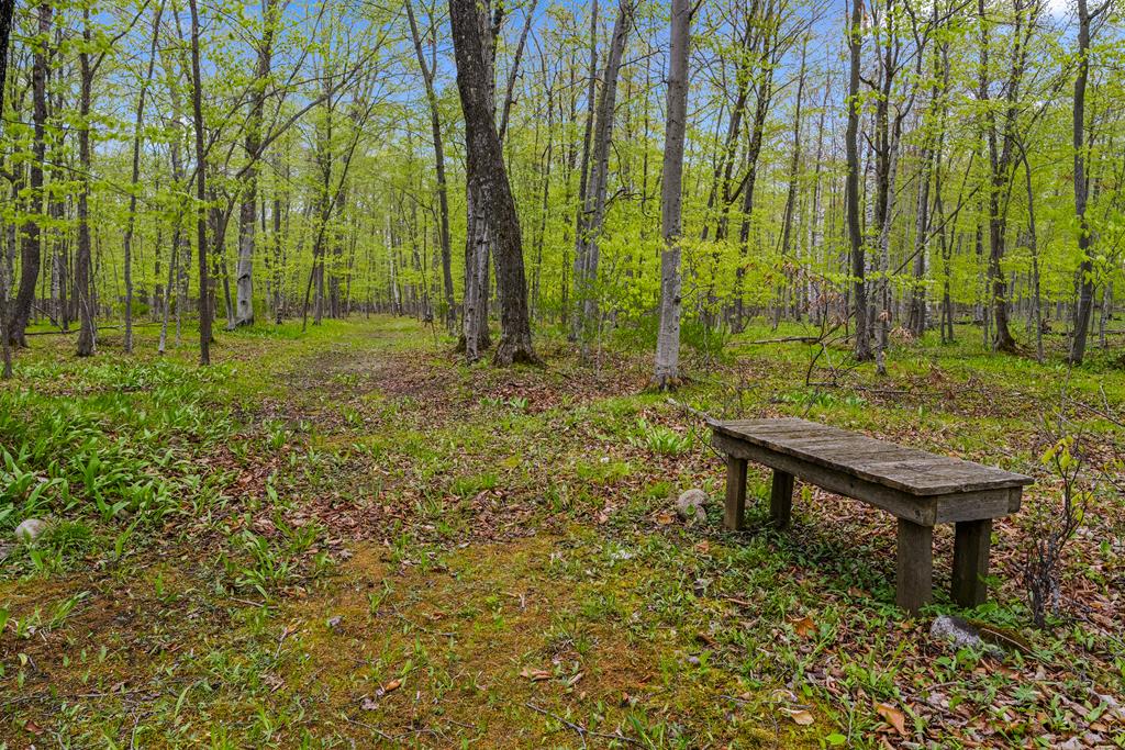 Tbd Mink River Road Ellison Bay, WI 54210 - Photo 1 of 4