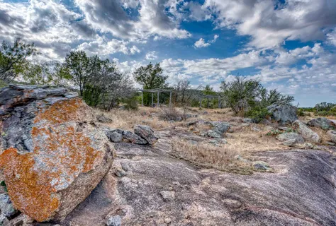 a view of a dry yard with trees