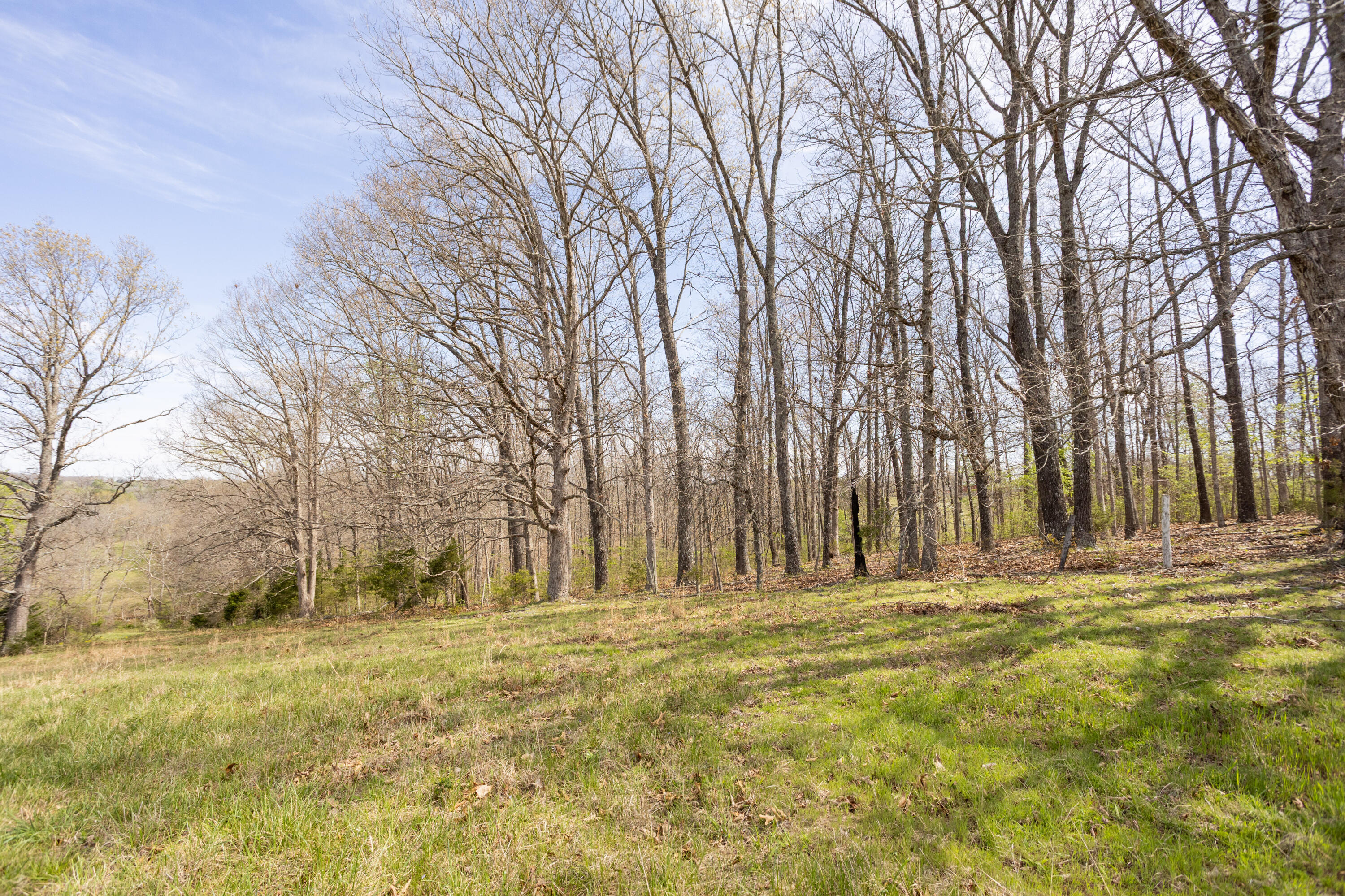 9795 Co Road Ava, MO 65608 - Photo 30 of 93 Douglas198(MLSRES)-44
