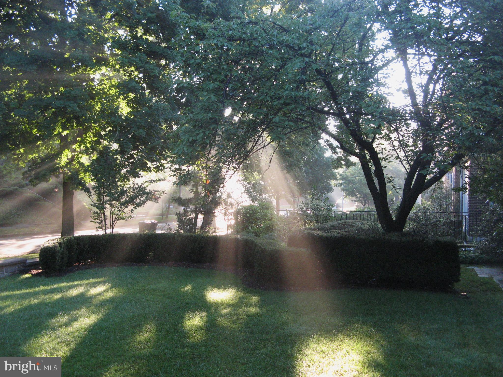 405 Overhill Road Baltimore, MD 21210 - Photo 8 of 59 Day break...