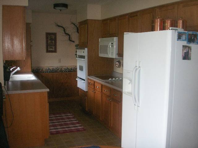 16173 Edwardsville Road Pecatonica, IL 61063 - Photo 3 of 4 a kitchen with stainless steel appliances a refrigerator and a stove