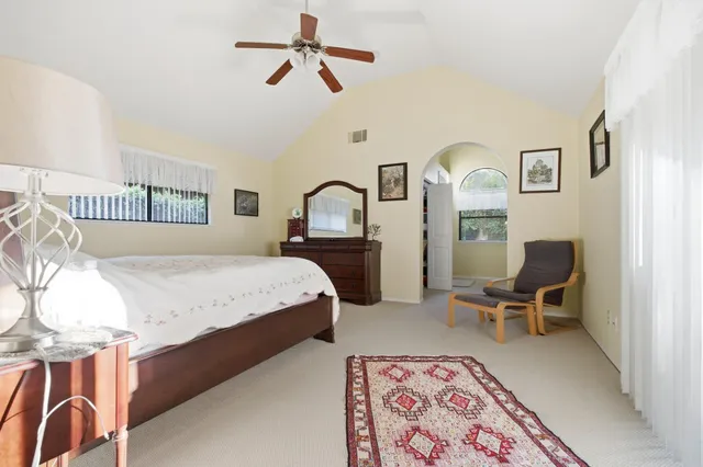 a view of a garden with potted plants