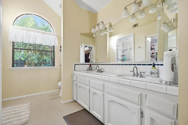 a view of a garden with plants and large trees