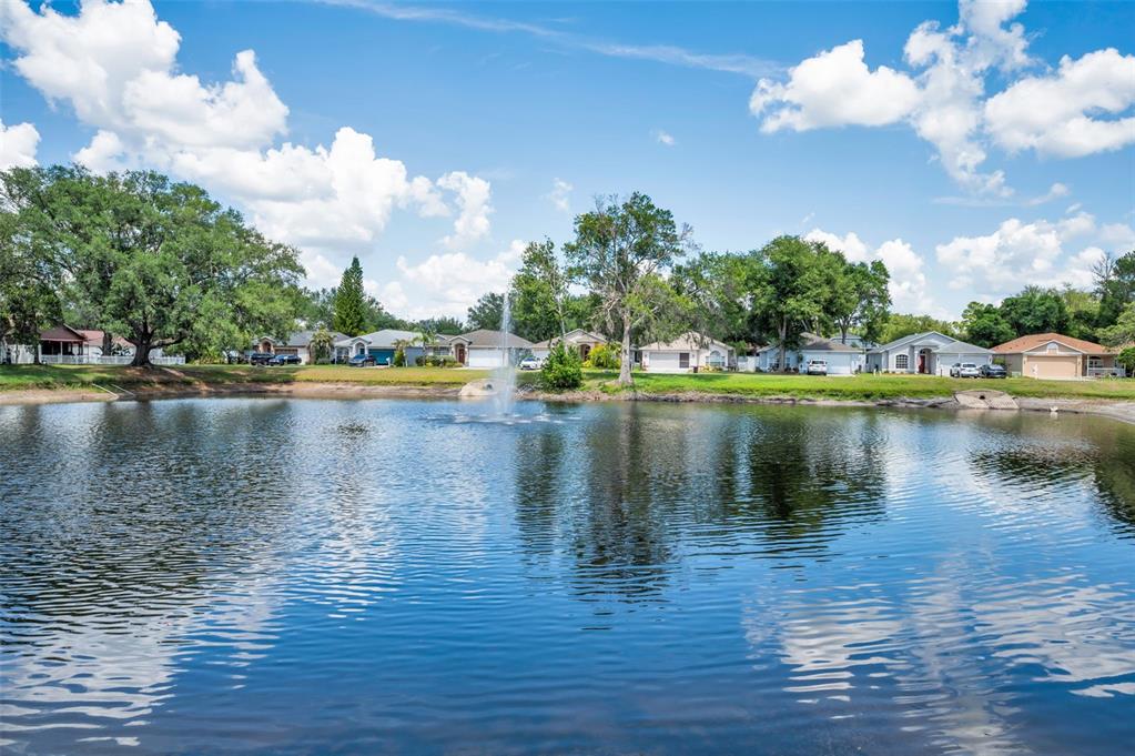 7745 Barclay Road New Port Richey, FL 34654 - Photo 42 of 58 Gallery Image 42