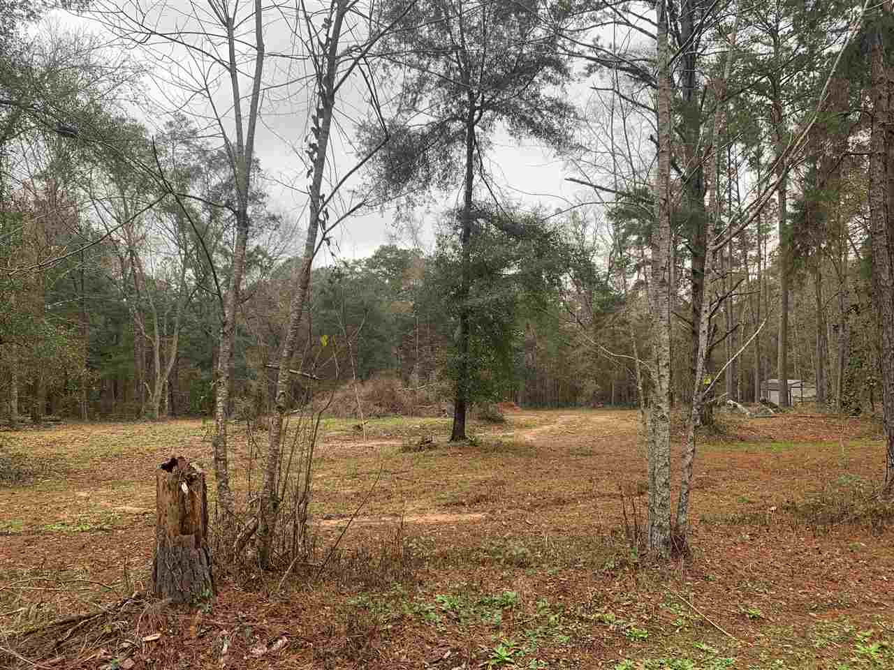 Deer Run Road Havana, FL 32333 - Photo 2 of 3 Gallery Image 2
