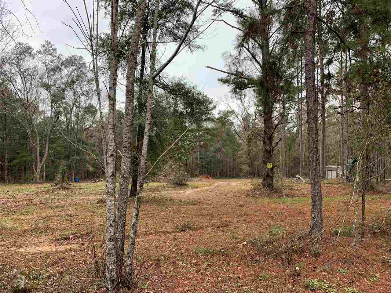 Deer Run Road Havana, FL 32333 - Photo 3 of 3 Gallery Image 3