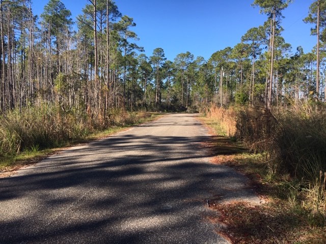 183 Kal Lane Carrabelle, FL 32322 - Photo 12 of 14