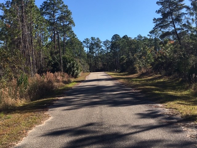 183 Kal Lane Carrabelle, FL 32322 - Photo 13 of 14