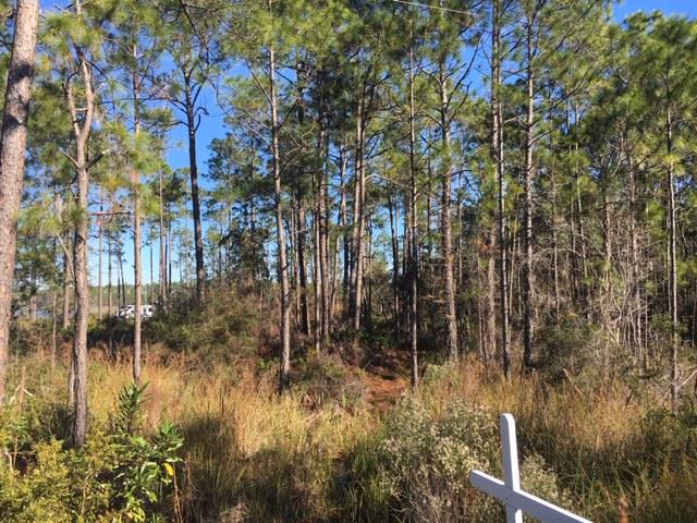183 Kal Lane Carrabelle, FL 32322 - Photo 14 of 14