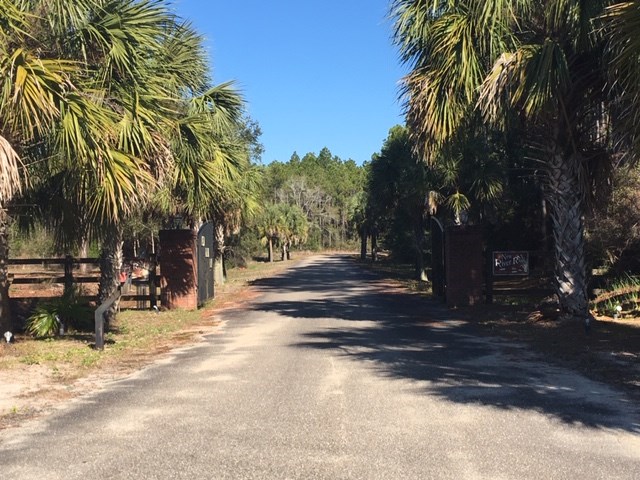 183 Kal Lane Carrabelle, FL 32322 - Photo 7 of 14
