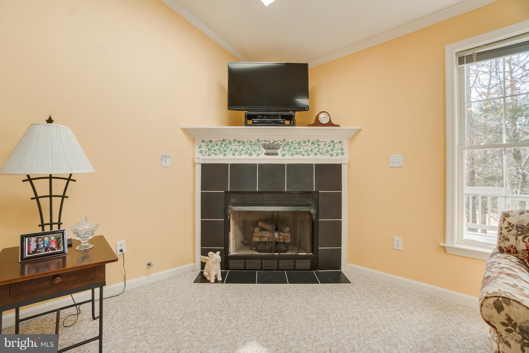 234 Birdie Road Locust Grove, VA 22508 - Photo 9 of 56 Living room has propane gas fireplace