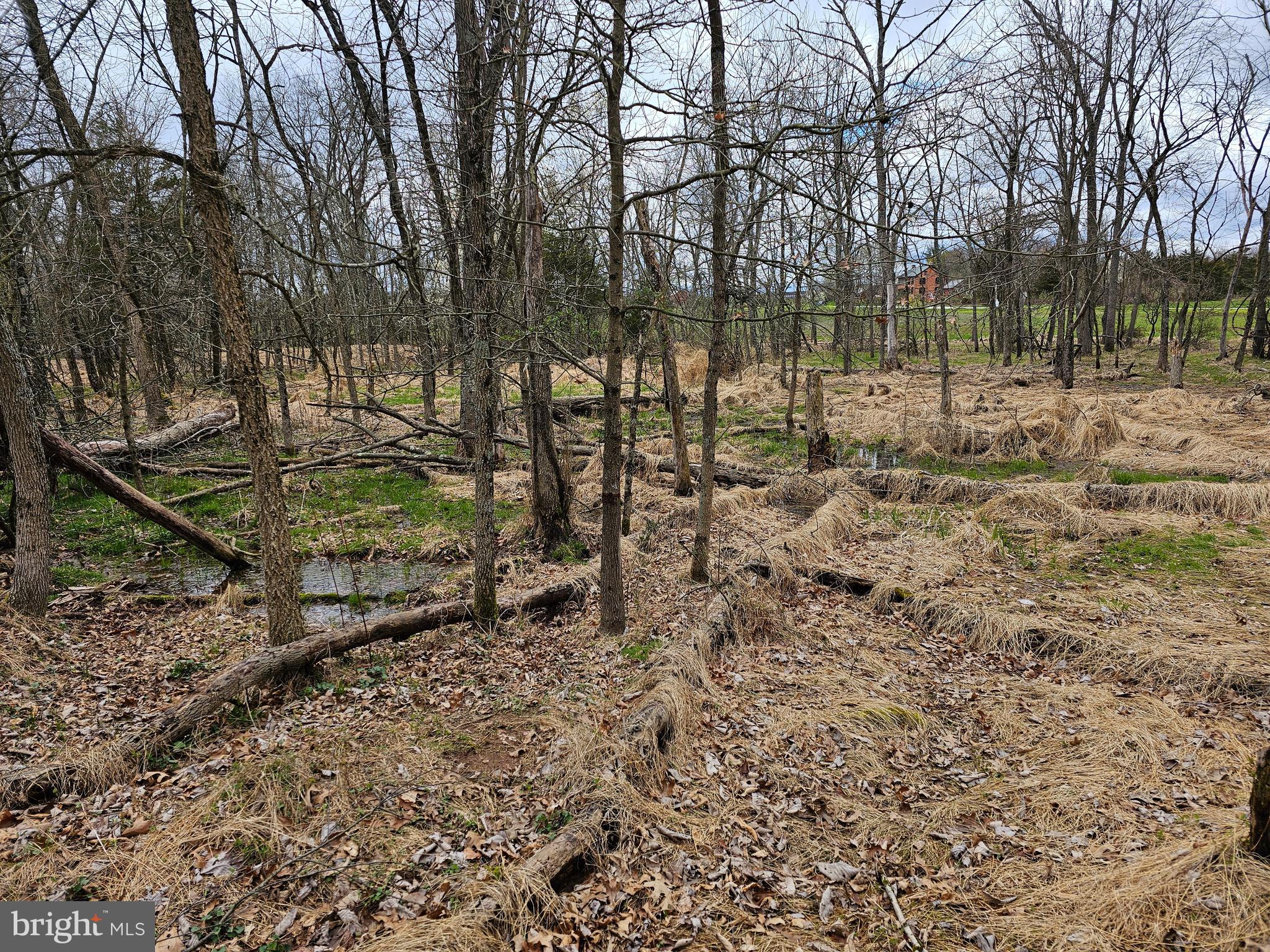 615 Shrivers Corner Road Gettysburg, PA 17325 - Photo 61 of 69 Gallery Image 61
