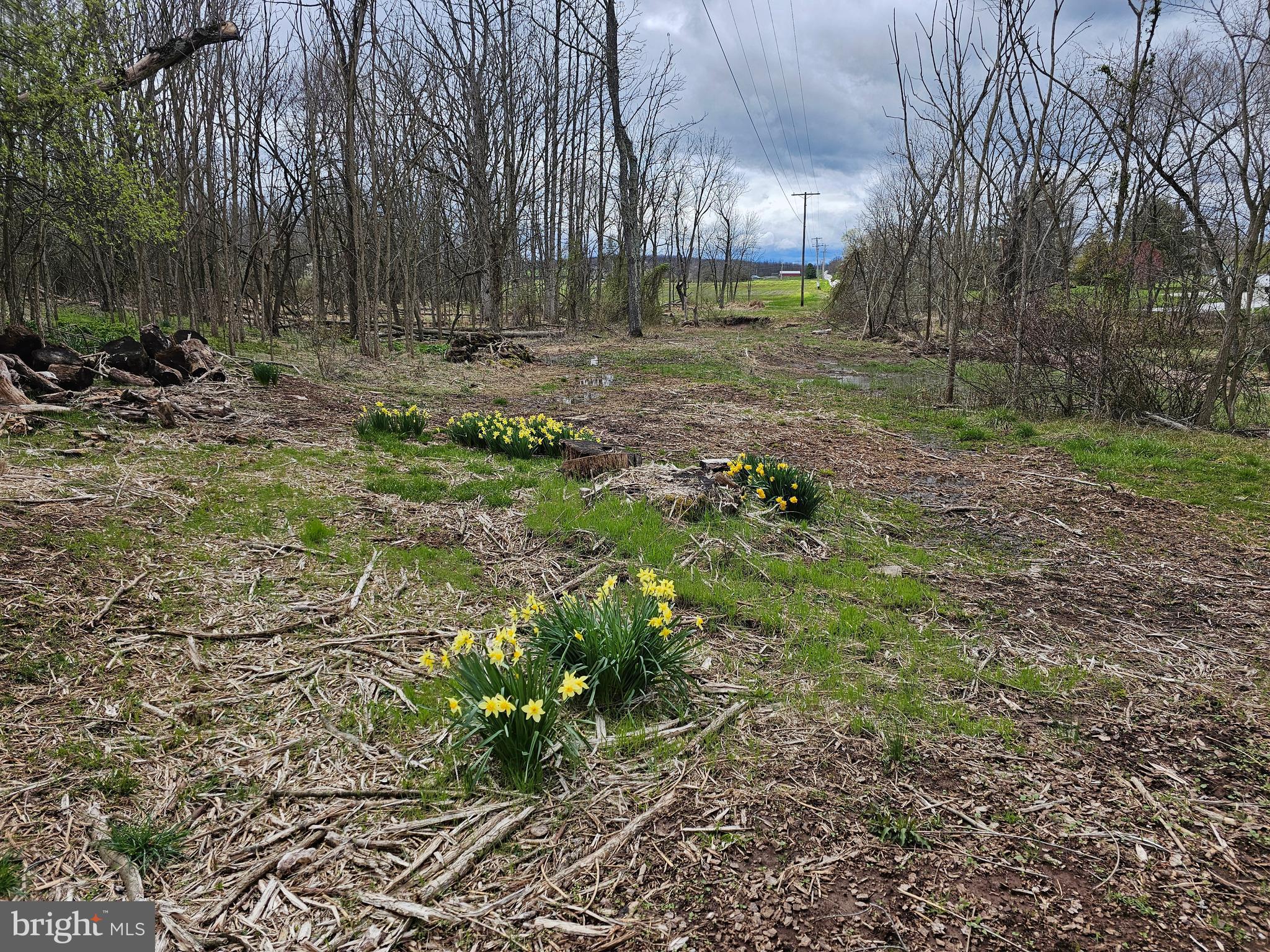 615 Shrivers Corner Road Gettysburg, PA 17325 - Photo 69 of 69 Gallery Image 69