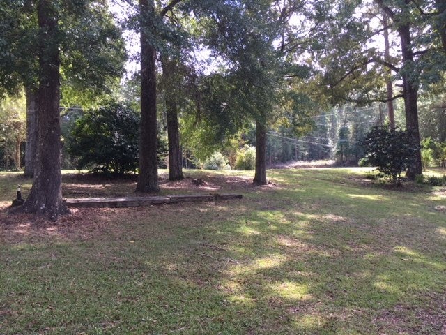30819 Destiny Lane Andalusia, AL 36421 - Photo 42 of 43 Gallery Image 42