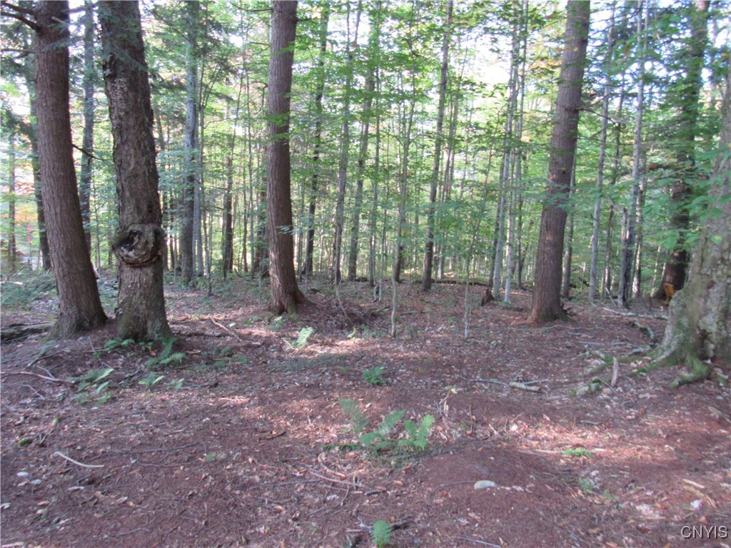Lot 59 Cayuga Road Old Forge, NY 13420 - Photo 1 of 1 Gallery Image 1