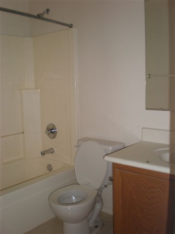 3147 West Fremont Rd. Phoenix, AZ 85041 - Photo 11 of 11 hall bath
