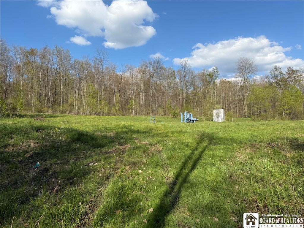 0 Scott Hill Road Kennedy, NY 14747 - Photo 8 of 16