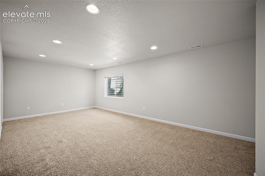 11447 Rill Point Colorado Springs, CO 80921 - Photo 23 of 42 basement living/entertainment