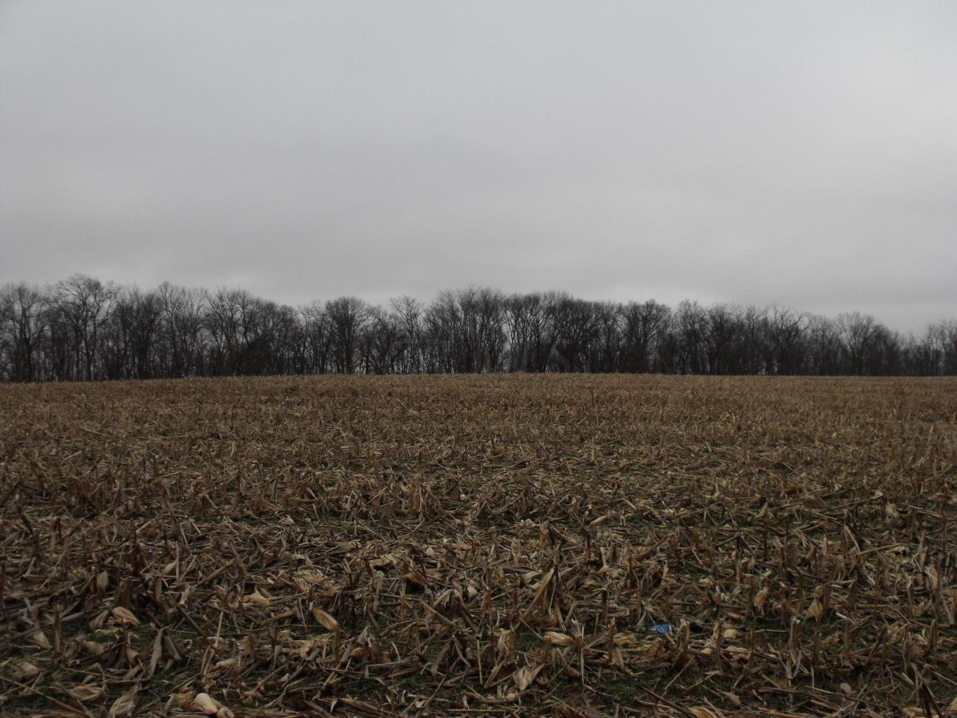 0 Ludwig-Dresback Road Circleville, OH 43113 - Photo 2 of 3