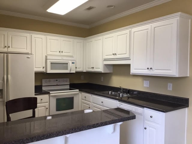 869 Richardsons Lake Road Warrenville, SC 29851 - Photo 5 of 8
