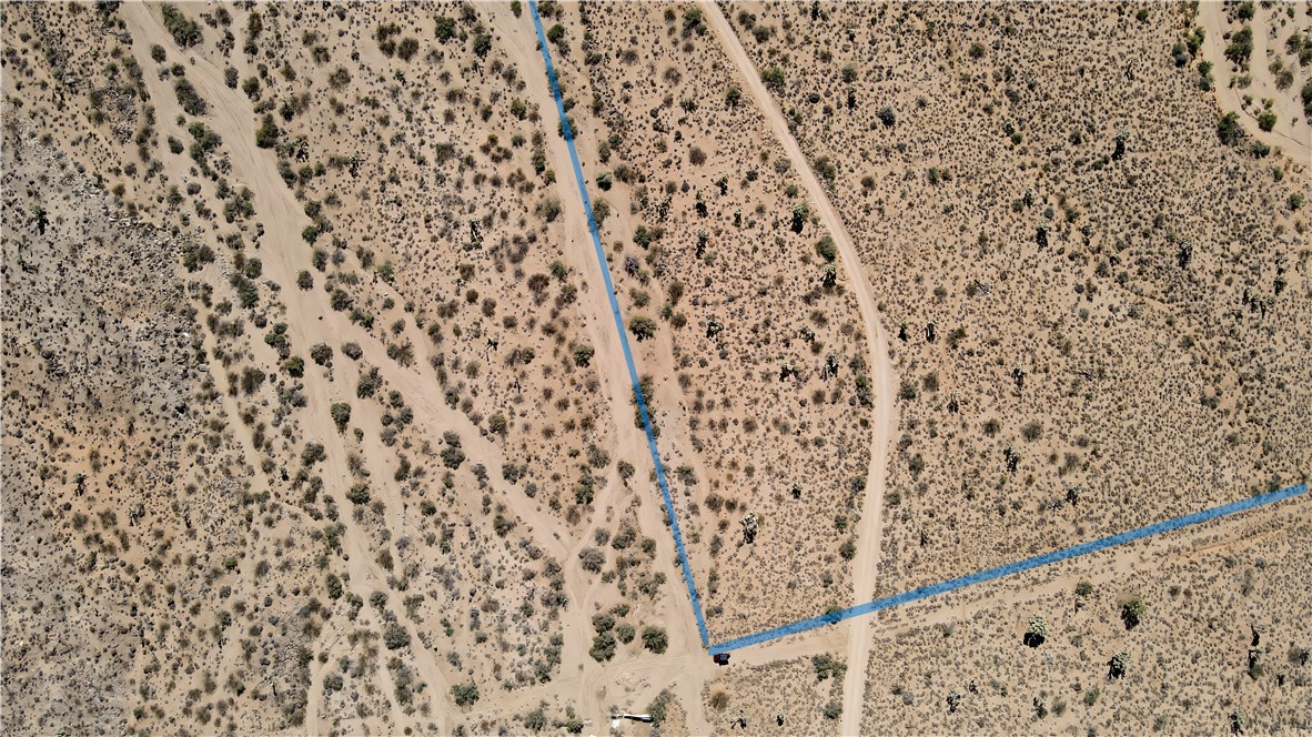 244-06-335 Holiday Road Yucca, AZ 86438 - Photo 4 of 4