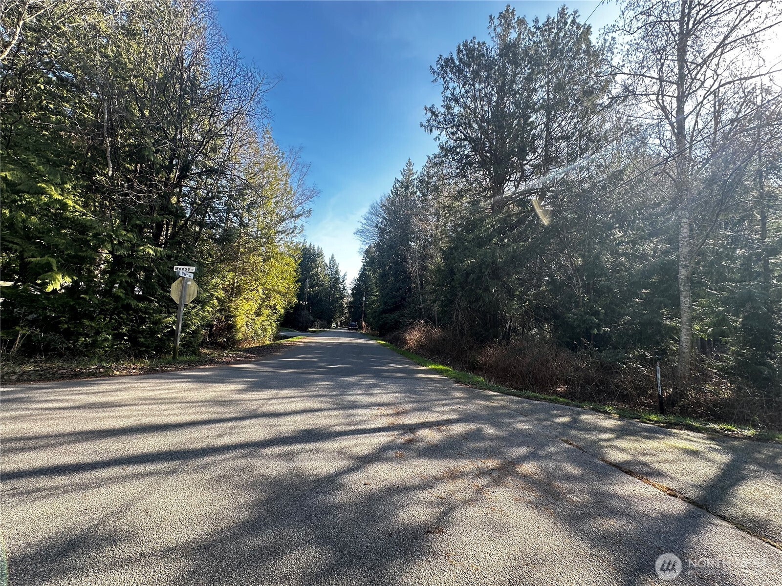 0 Deer Road Point Roberts, WA 98281 - Photo 4 of 6