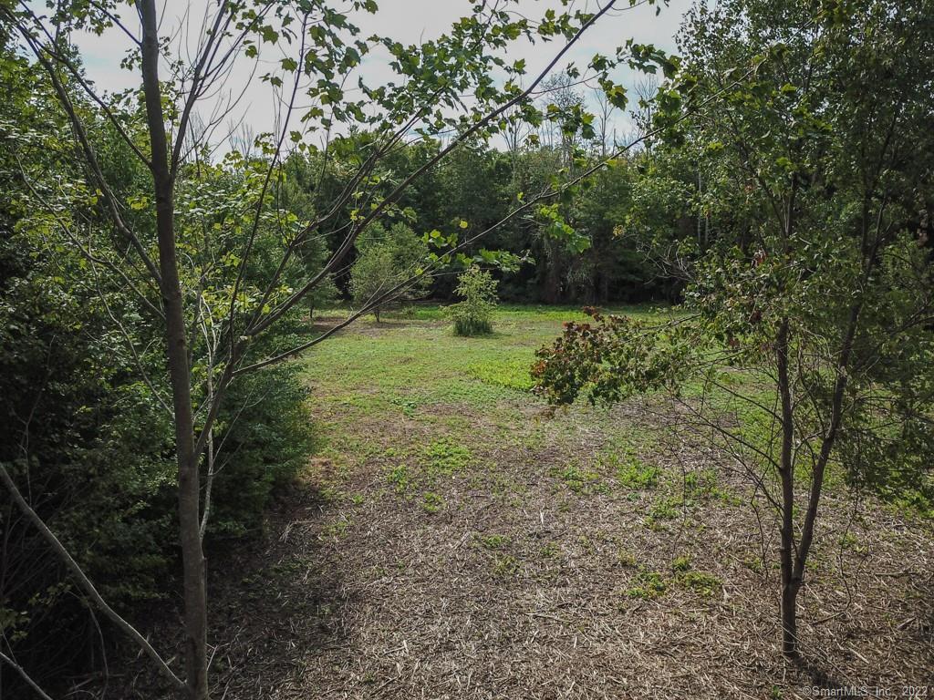555 Town Hill Road New Hartford, CT 06057 - Photo 11 of 16 a view of a yard with plants and large trees