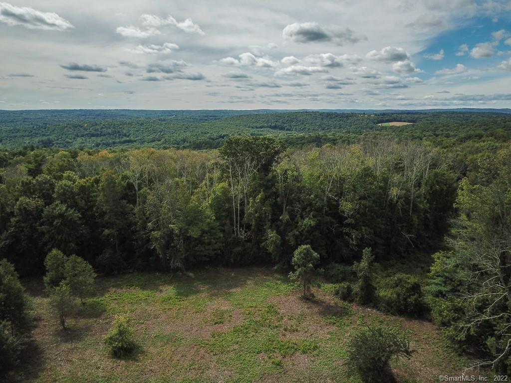 555 Town Hill Road New Hartford, CT 06057 - Photo 12 of 16 a view of outdoor space and yard