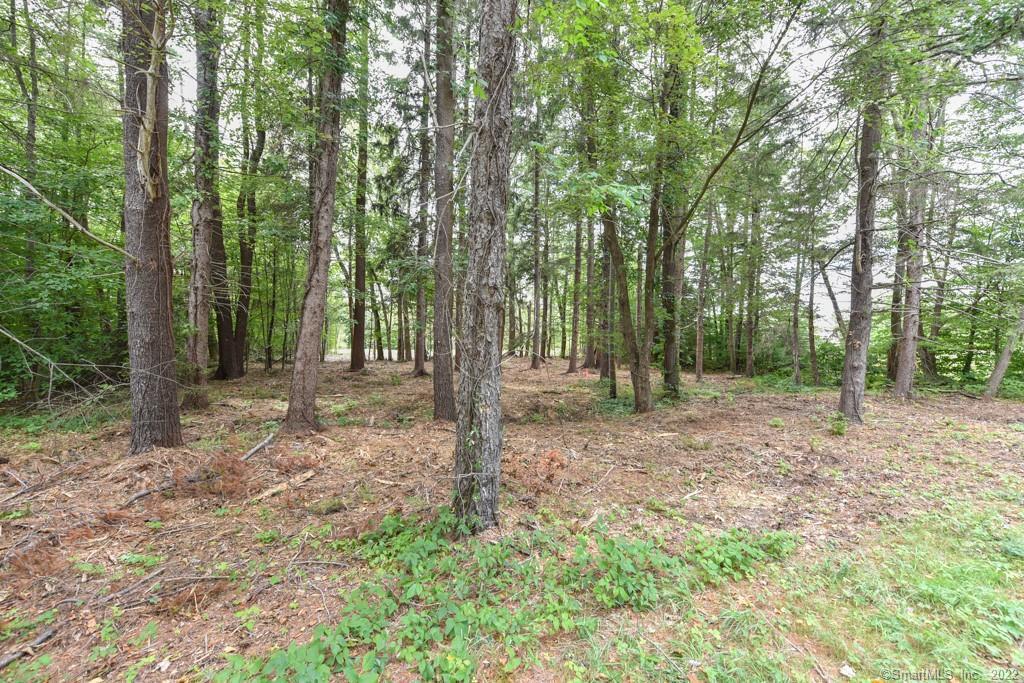 555 Town Hill Road New Hartford, CT 06057 - Photo 13 of 16 a view of outdoor space and trees