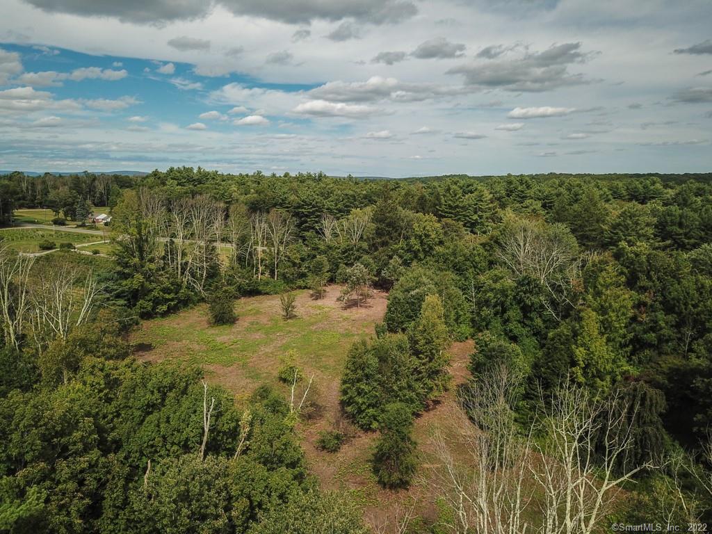 555 Town Hill Road New Hartford, CT 06057 - Photo 14 of 16 a view of a bunch of trees and bushes