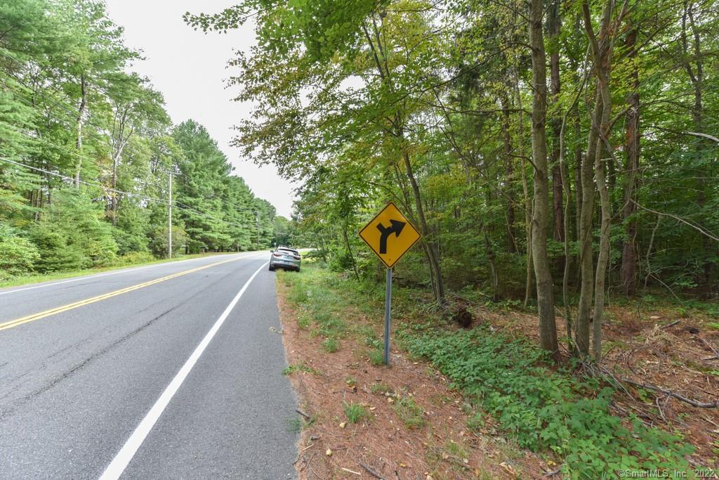 555 Town Hill Road New Hartford, CT 06057 - Photo 15 of 16 a view of a forest filled with trees