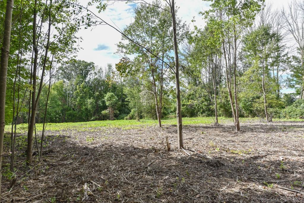 555 Town Hill Road New Hartford, CT 06057 - Photo 4 of 16 a view of a yard with trees