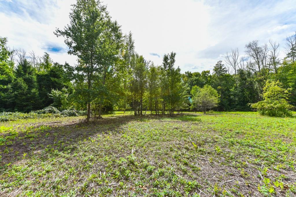 555 Town Hill Road New Hartford, CT 06057 - Photo 8 of 16 a view of a yard with a tree