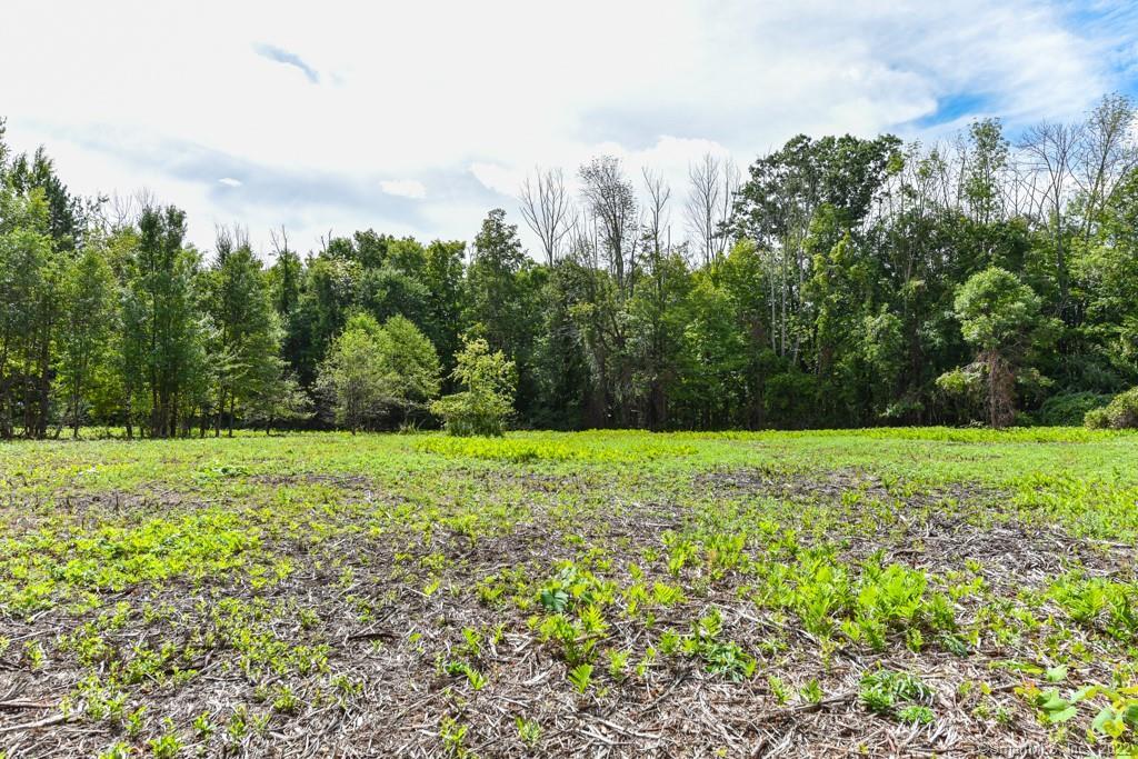 555 Town Hill Road New Hartford, CT 06057 - Photo 9 of 16 a view of a yard with a trees