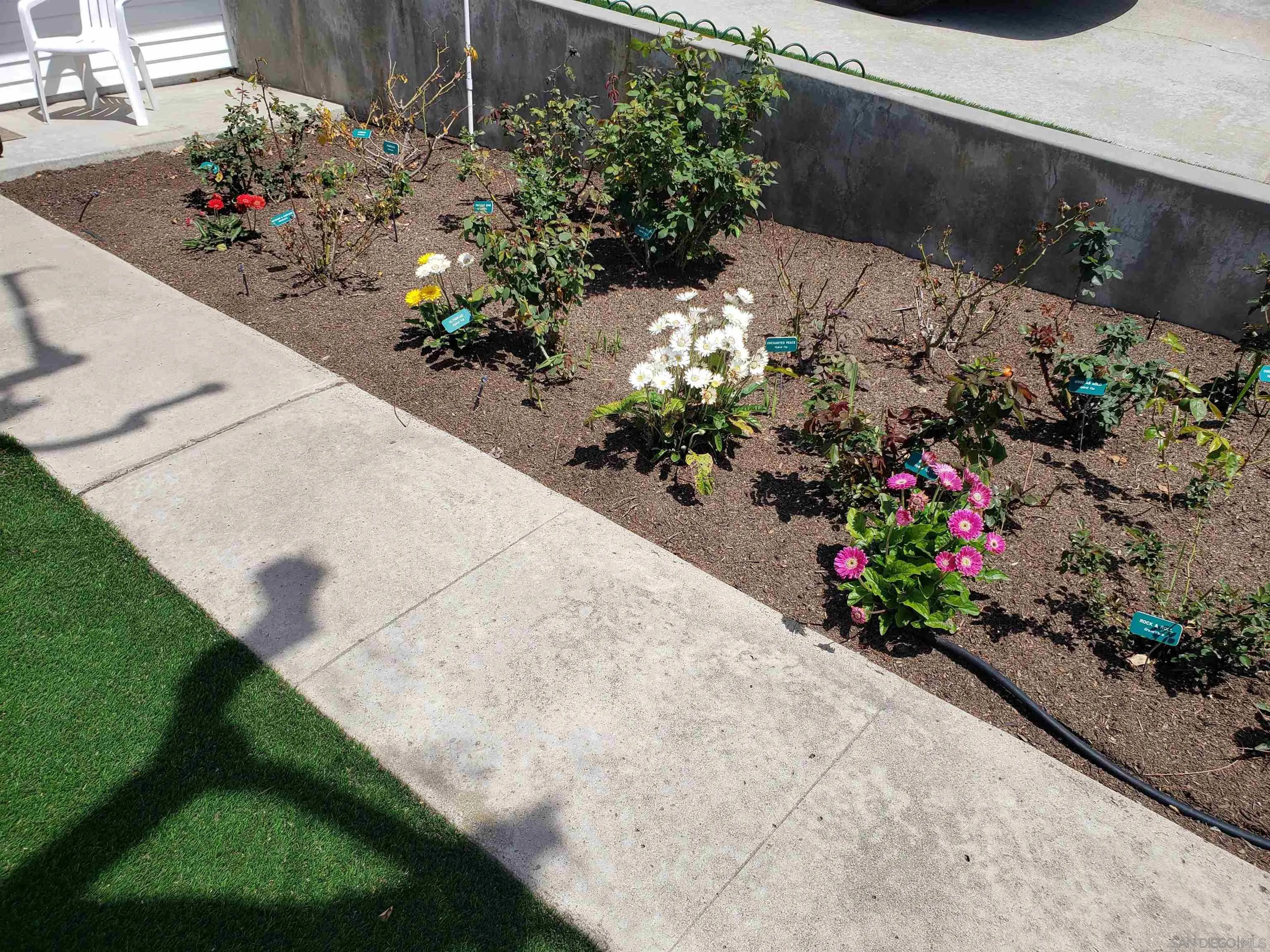 3252 Eichenlaub Street San Diego, CA 92117 - Photo 35 of 36 a vase of flowers sitting on a floor