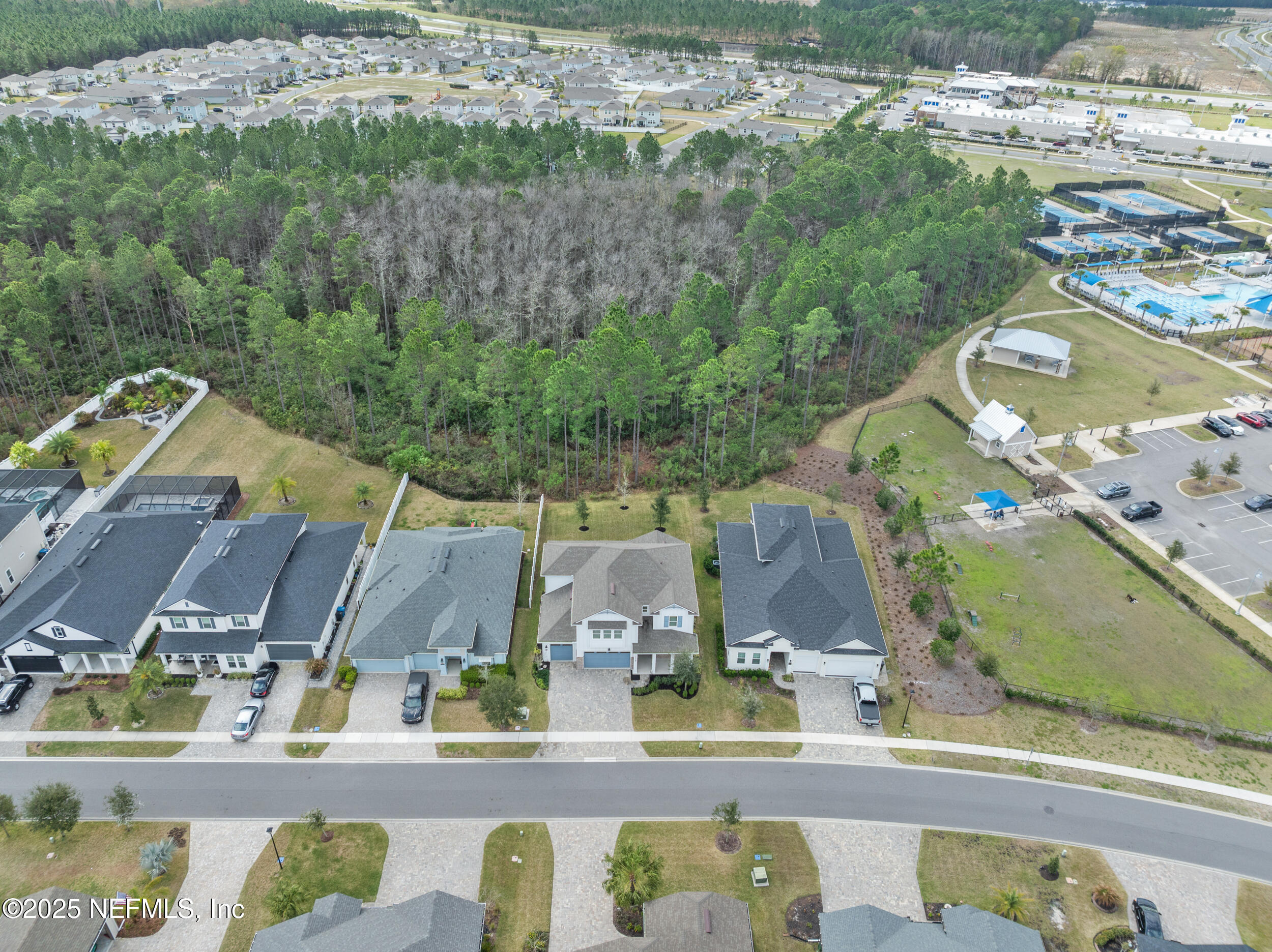 114 Silver Pine Drive St. Augustine, FL 32092 - Photo 54 of 69 Aerial