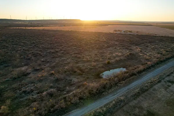 a view of a dry yard