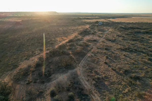 a view of a dry yard
