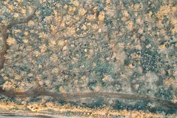 a view of ocean