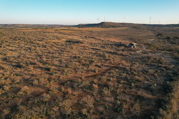a view of a dry yard with trees in the background