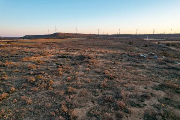 a view of a dry yard with trees