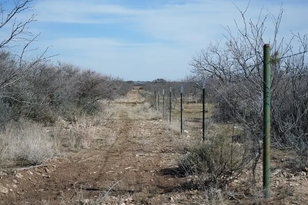a view of a dry yard with wooden fence