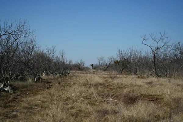 a view of a yard in front of a house